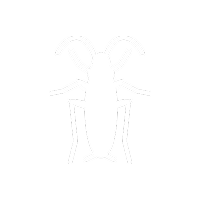 barata