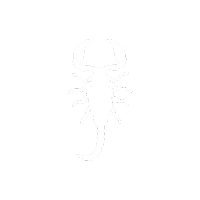 escorpião
