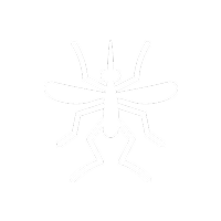mosquito