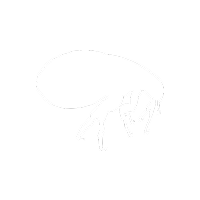 pulga