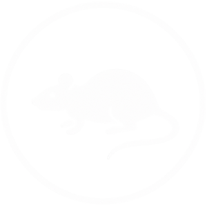 RATOS